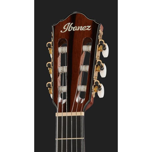 Ibanez AEG74N-MHS