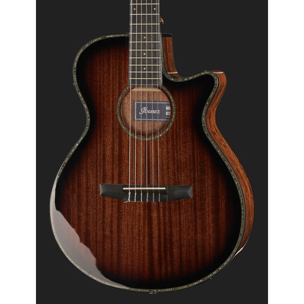 Ibanez AEG74N-MHS
