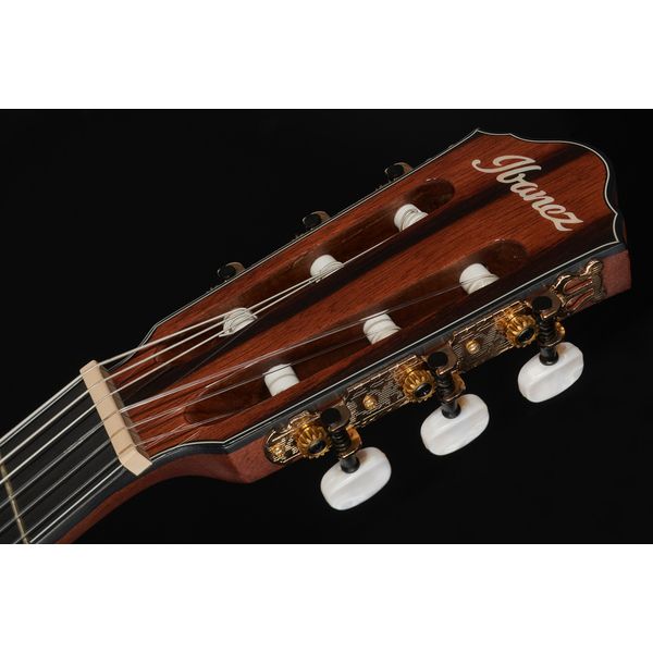 Ibanez AEG74N-MHS