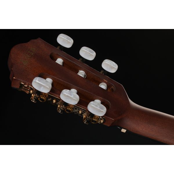 Ibanez AEG74N-MHS