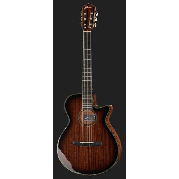 Ibanez AEG74N-MHS