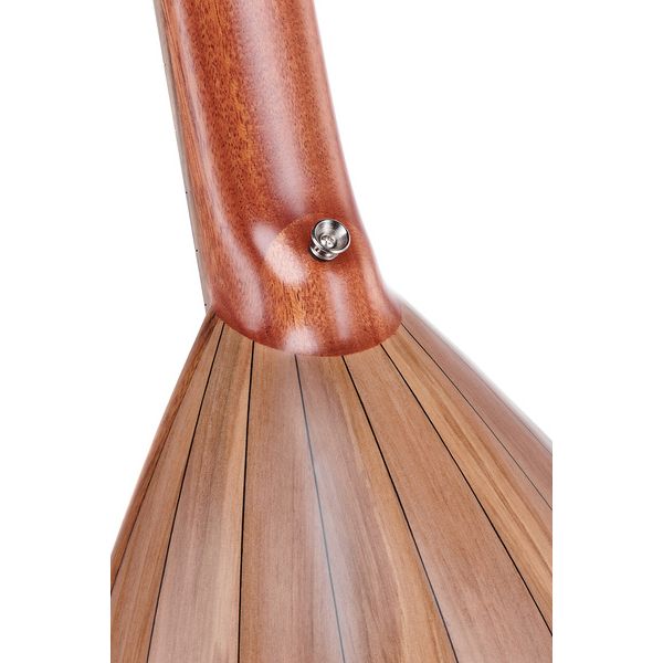 la boutique Lute Guitar Standard