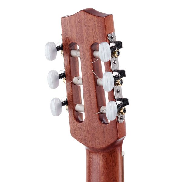 la boutique Lute Guitar Standard