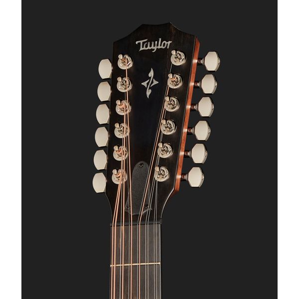 Taylor 454ce-R Top