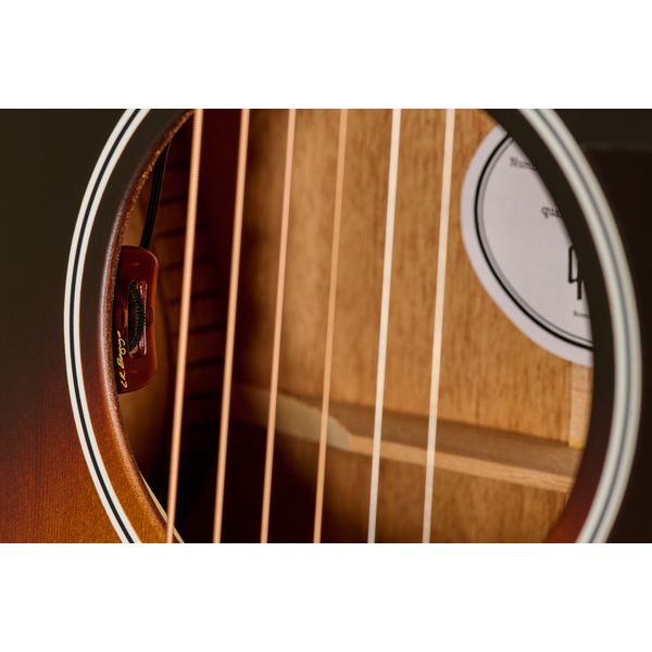 Gibson L-00 Special