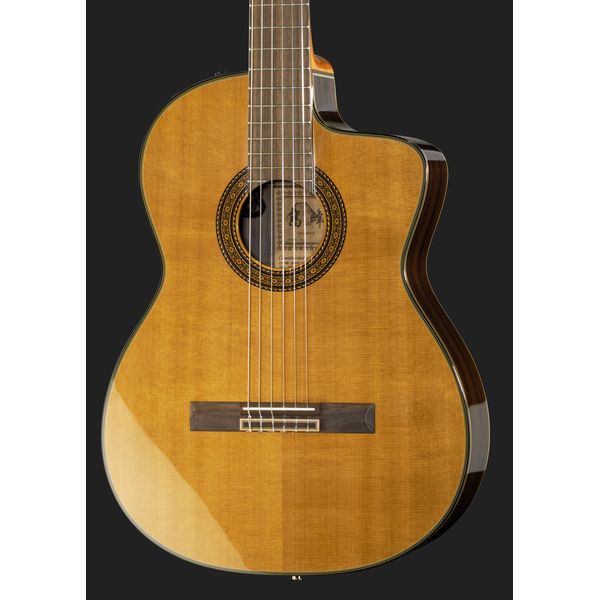 Takamine EC132SC W Softcase