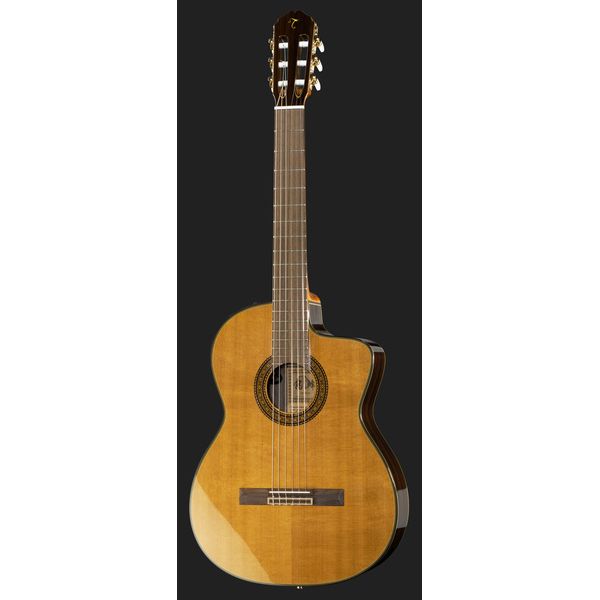 Takamine EC132SC W Softcase