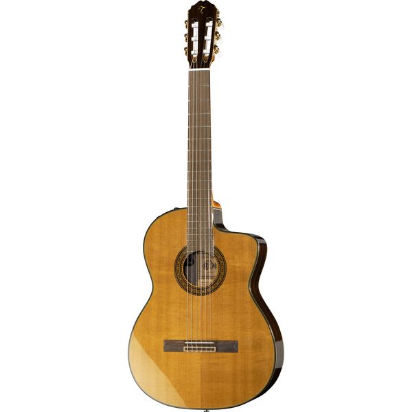 Takamine EC132SC W Softcase
