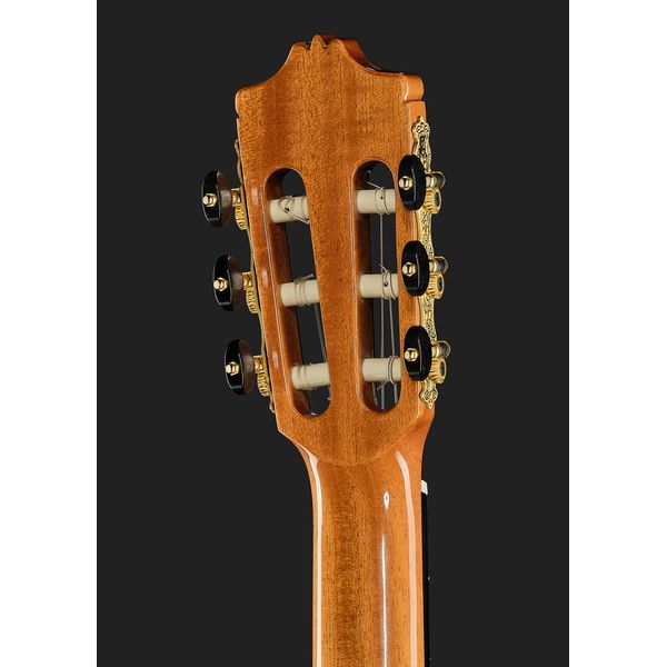 Alhambra Sustain Cut E8 W Gig Bag
