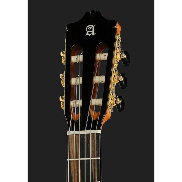 Alhambra Sustain Cut E8 W Gig Bag