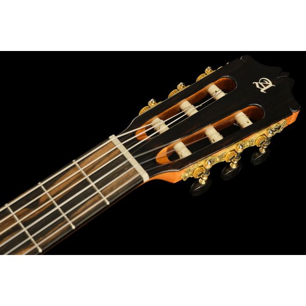 Alhambra Sustain Cut E8 W Gig Bag