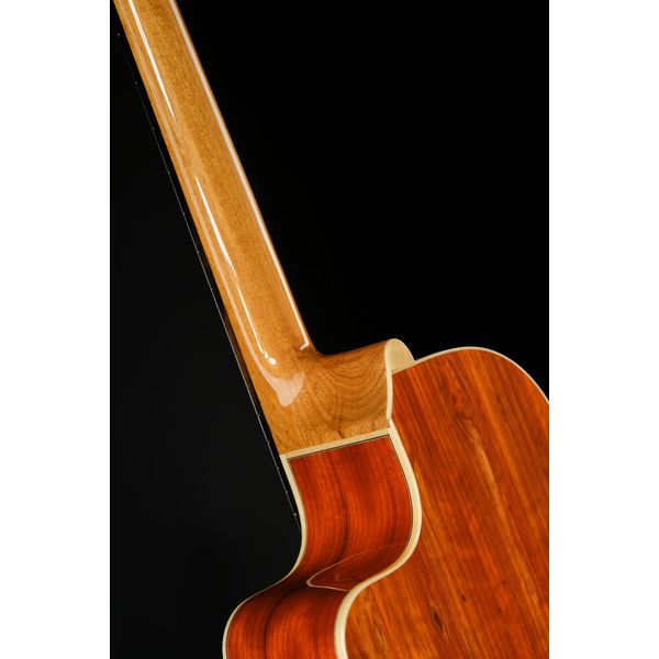 Alhambra Sustain Cut E8 W Gig Bag