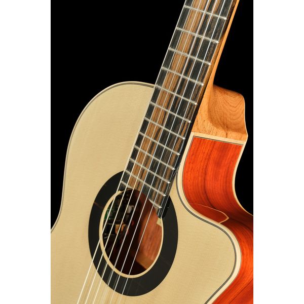 Alhambra Sustain Cut E8 W Gig Bag