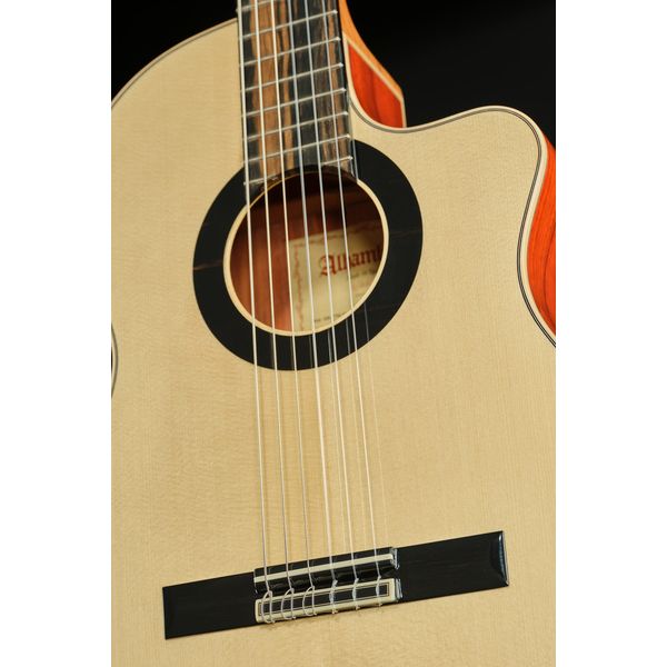 Alhambra Sustain Cut E8 W Gig Bag