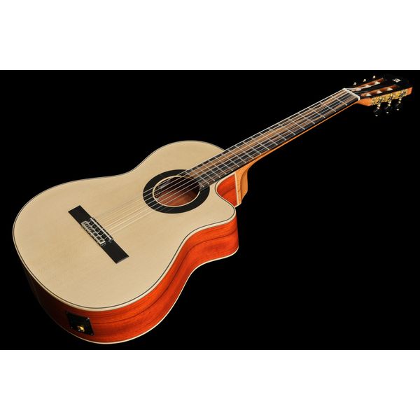 Alhambra Sustain Cut E8 W Gig Bag