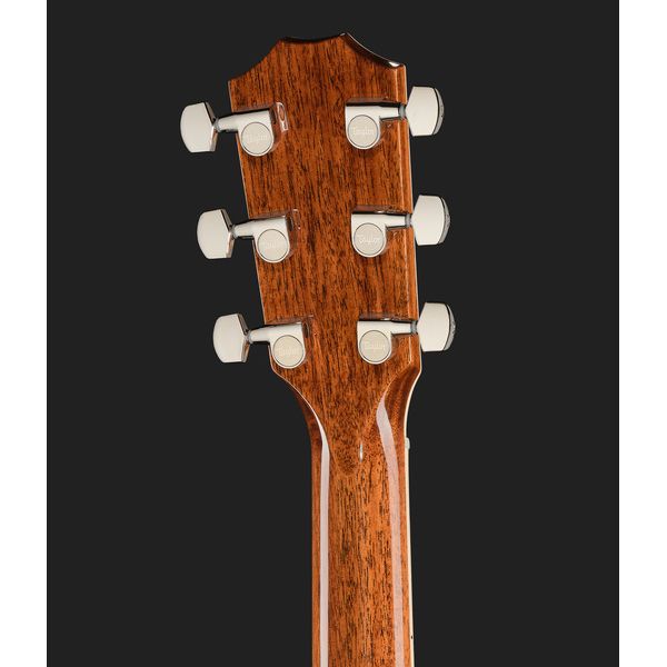 Taylor Legacy 810e HB