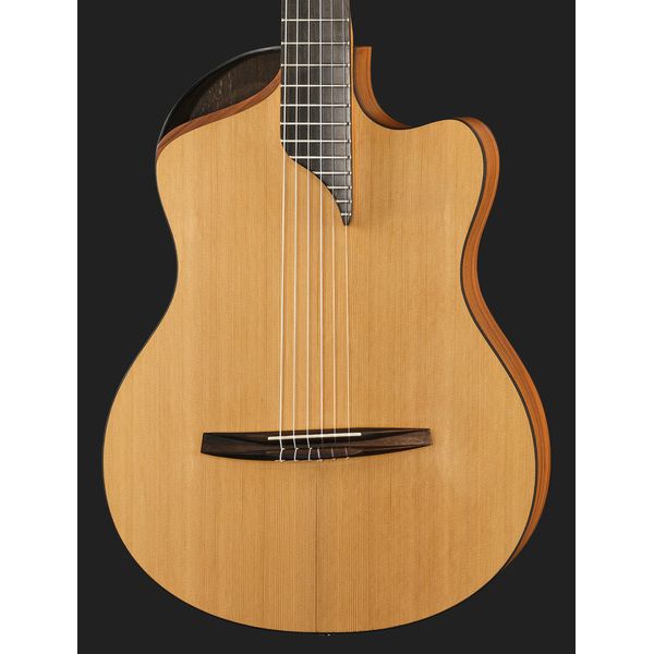 NOVA Guitars Innovator W Pu