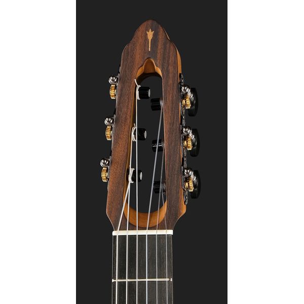 NOVA Guitars Innovator W Pu