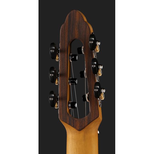 NOVA Guitars Innovator W Pu