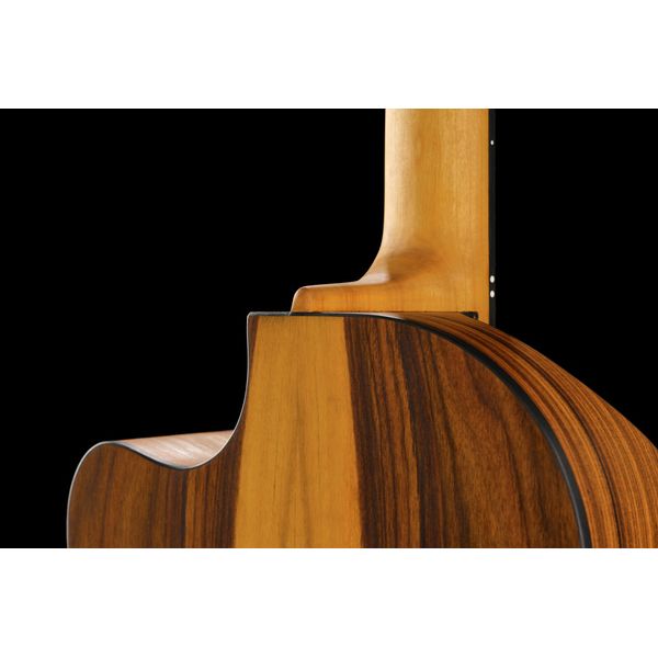 NOVA Guitars Innovator W Pu