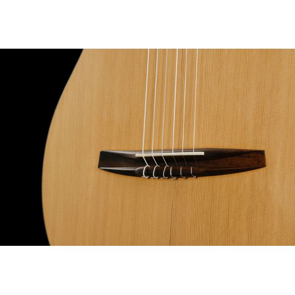 NOVA Guitars Innovator W Pu