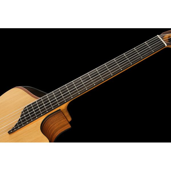 NOVA Guitars Innovator W Pu