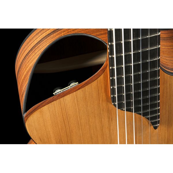 NOVA Guitars Innovator W Pu