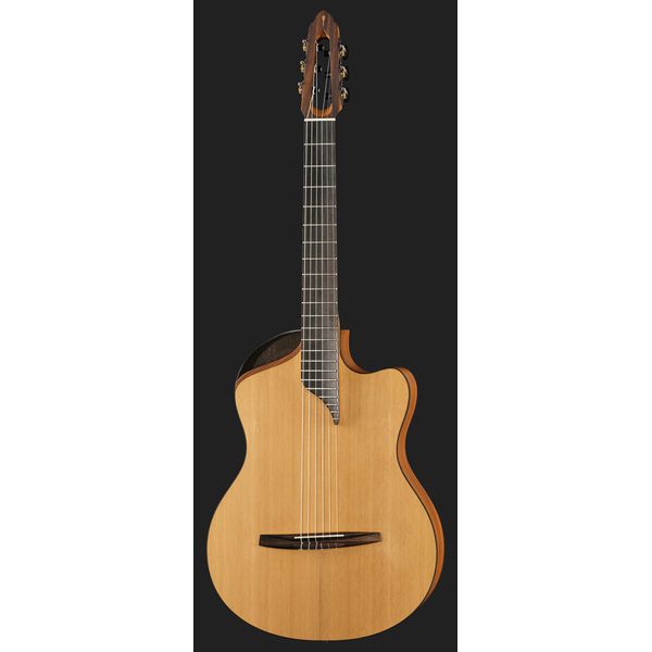 NOVA Guitars Innovator W Pu