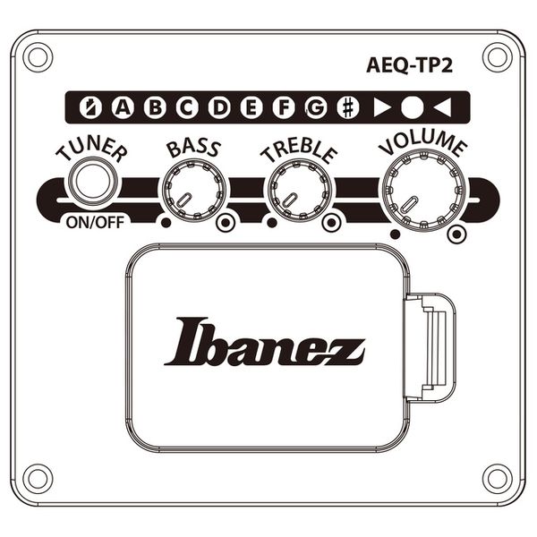 Ibanez AAD51CE-NT