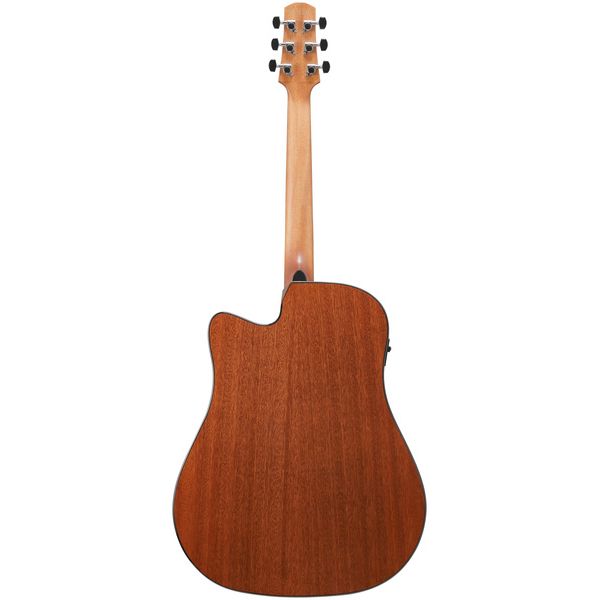 Ibanez AAD51CE-NT