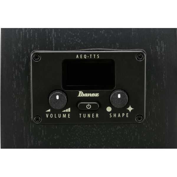 Ibanez AEG621-BOT