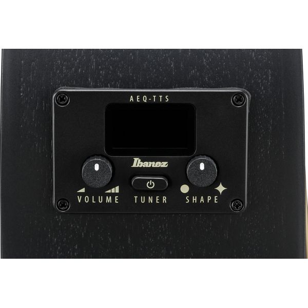 Ibanez AEG1221-BOT