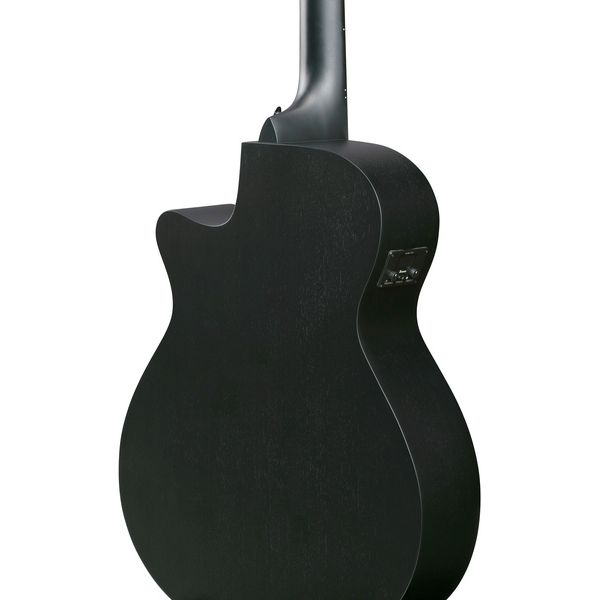 Ibanez AEG1221-BOT