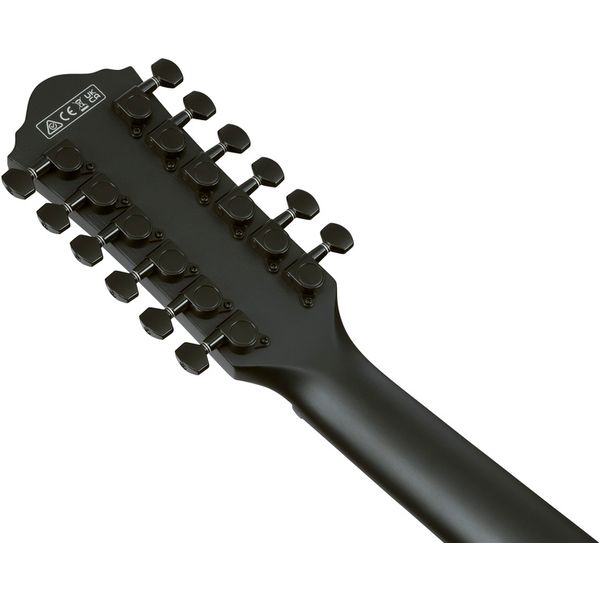 Ibanez AEG1221-BOT