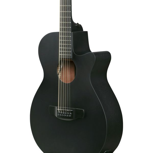 Ibanez AEG1221-BOT