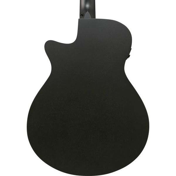 Ibanez AEG1221-BOT