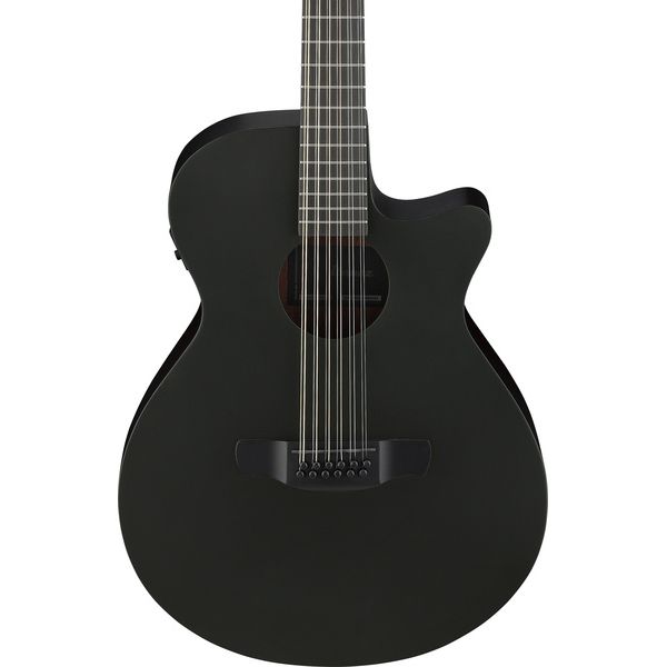 Ibanez AEG1221-BOT