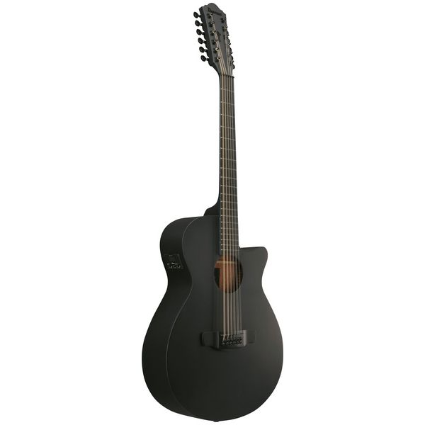 Ibanez AEG1221-BOT