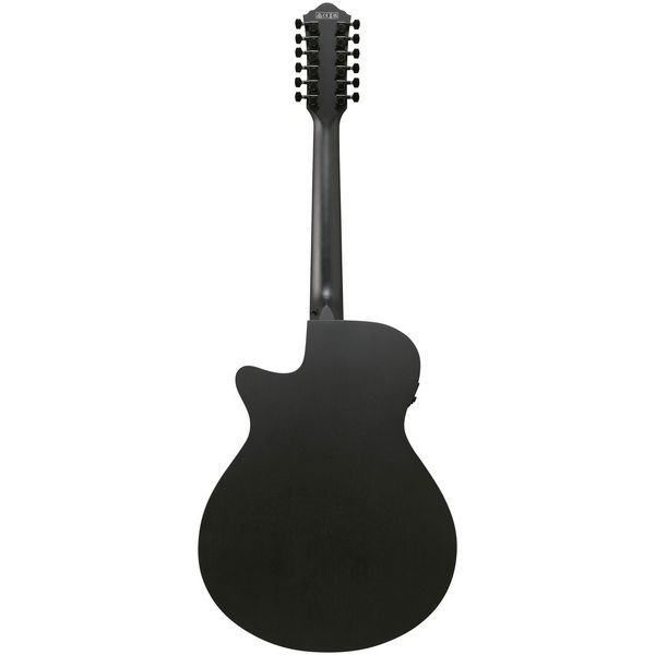 Ibanez AEG1221-BOT
