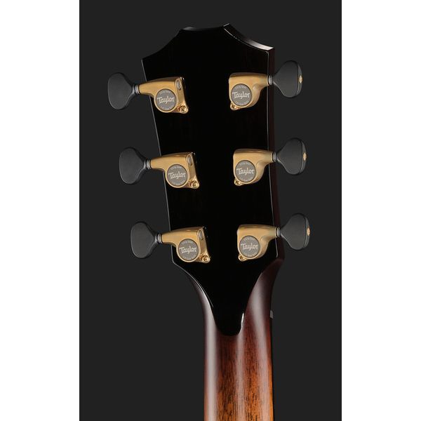 Taylor Custom 3 Canela
