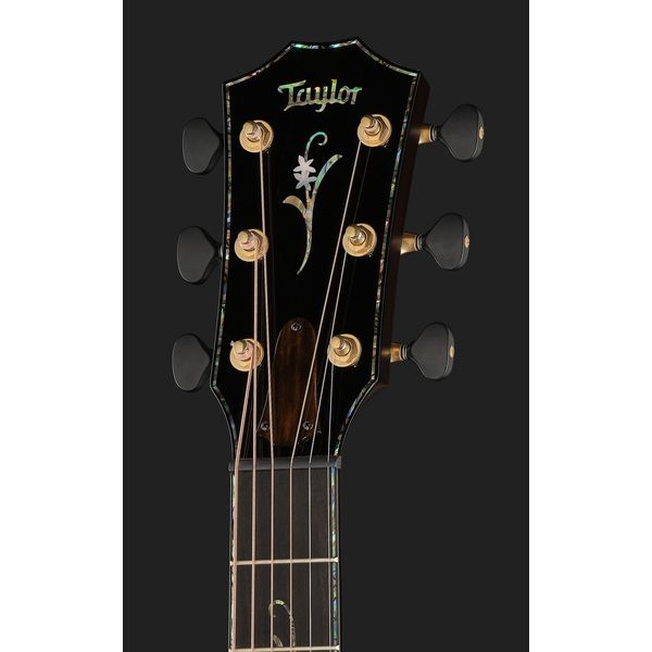 Taylor Custom 3 Canela