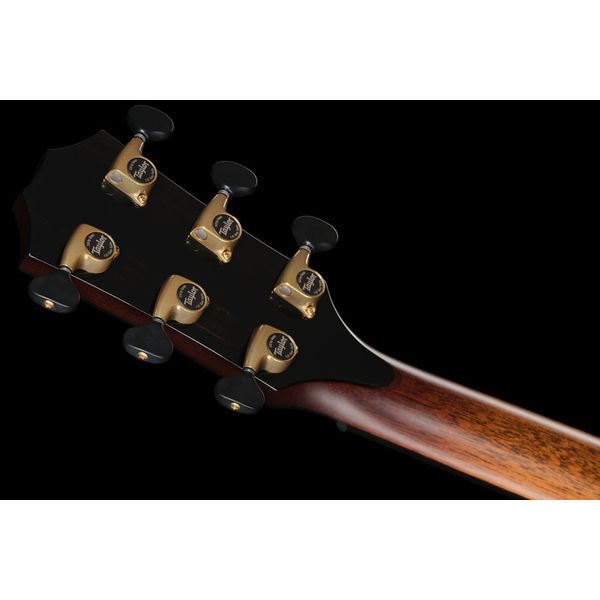 Taylor Custom 3 Canela