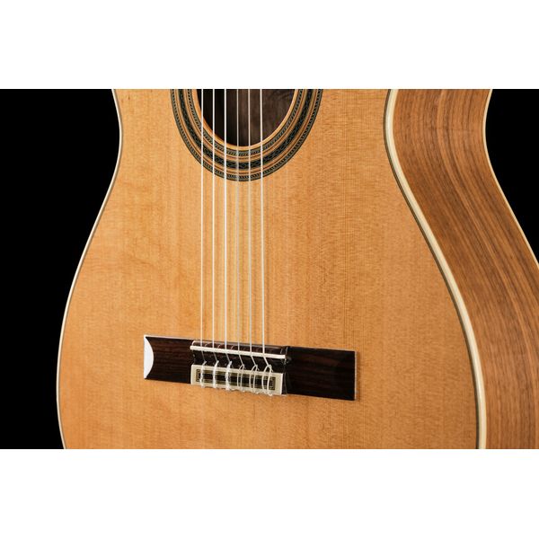 Ortega R20GWN-L