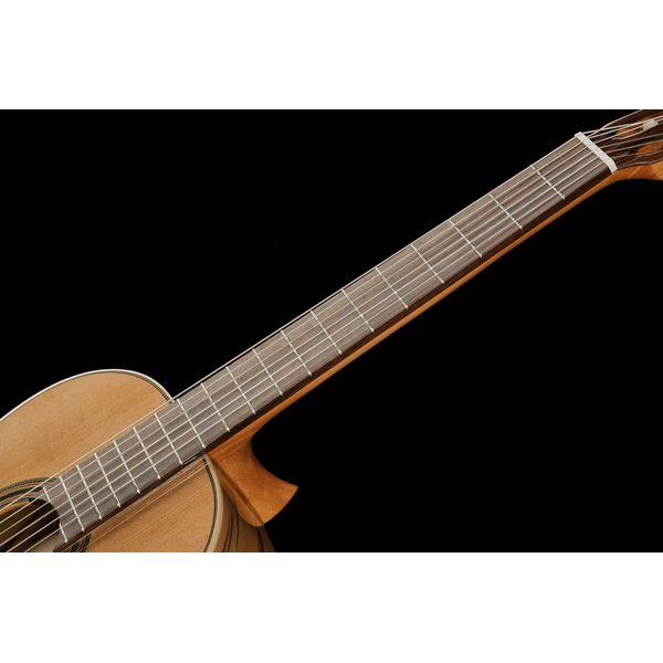 Ortega R20GSNRG