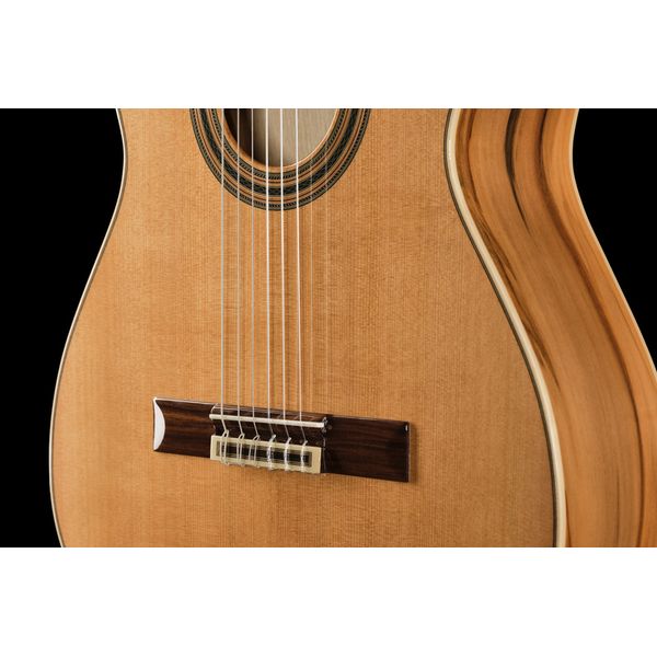 Ortega R20GSNRG