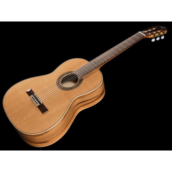 Ortega R20GSNRG