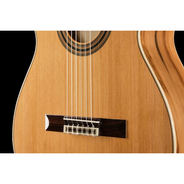 Ortega R20GRG-L