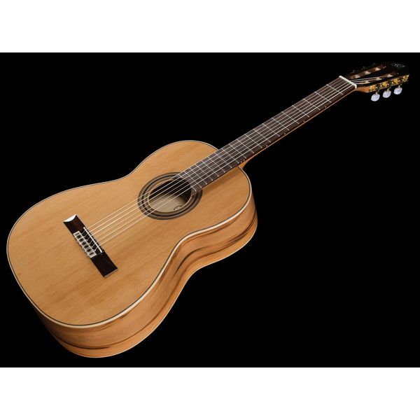 Ortega R20GRG-L