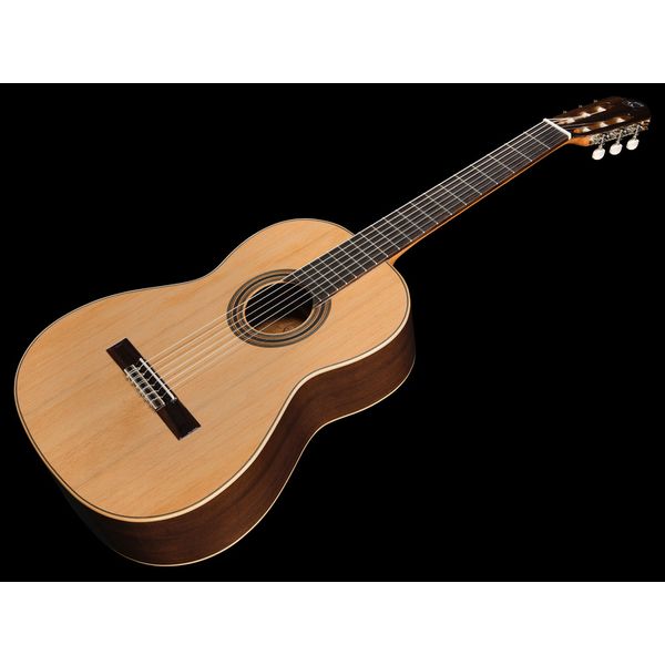 Ortega R19G