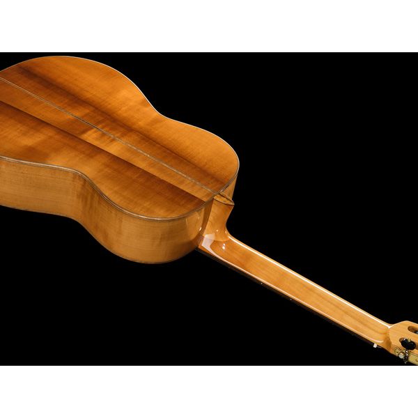 La Mancha Serba Maciza